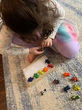 Load image into Gallery viewer, Spring Crayons- Insects And Flower